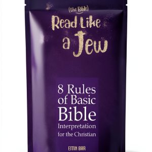 Christian Youth Ministry eBook by SHAMUS 126 Pages Accessible-0