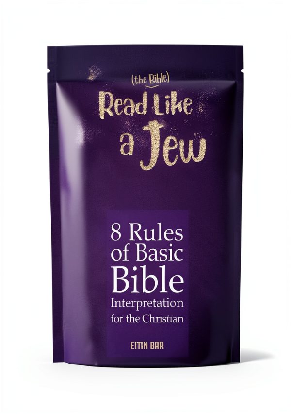 Christian Youth Ministry eBook by SHAMUS 126 Pages Accessible-0